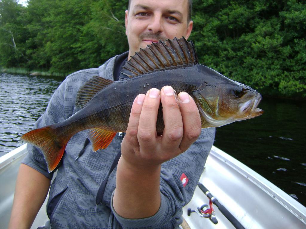 Wismens Natur & Fiske Krogsered 外观 照片