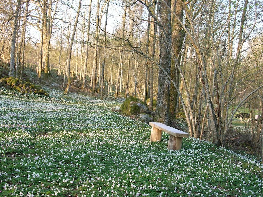 Wismens Natur & Fiske Krogsered 外观 照片