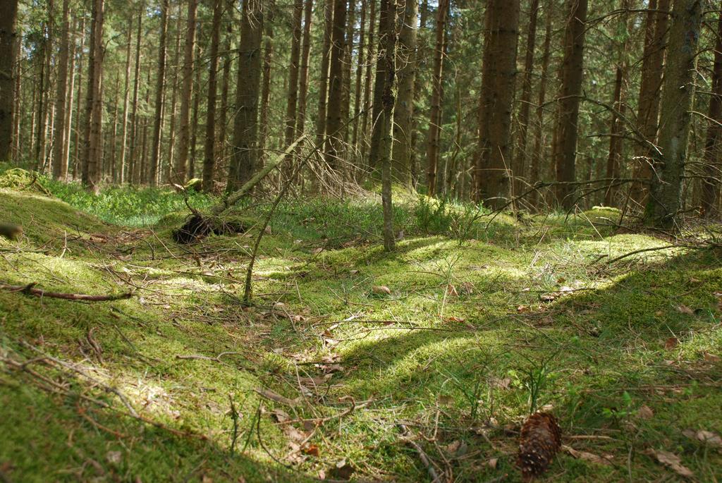Wismens Natur & Fiske Krogsered 外观 照片